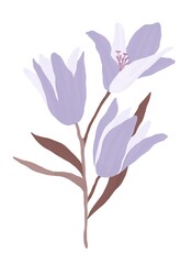 A bouquet of violet lilies with a stem and leaves. Botanical illustration. Isolated image on a white background. Design for posters, postcards, textiles, fabrics, wallpaper, wedding design.
