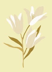 A bouquet of beige lilies with a stem and leaves. Botanical illustration. Isolated image on a beige background. Design for posters, postcards, textiles, fabrics, wallpaper, wedding design.
