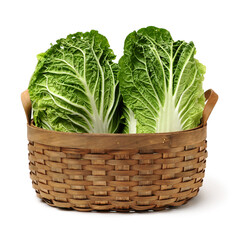 Chinese cabbage on white background 