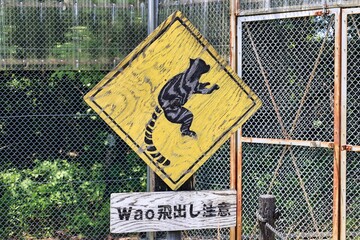 ワオキツネザルの注意看板