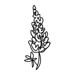 One vector lupine for halloween. Simple illustration of black line elements hand drawn in doodle style on white isolated background. Design for greeting cards, web, social media, decorations.