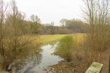 View of a field in the woods with a deer feeder 