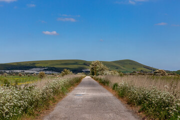 A Rural Sussex Landscape in Springtime