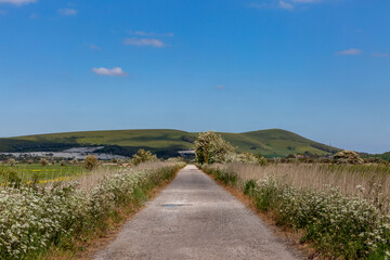 A Rural Sussex Landscape in Springtime © lemanieh