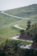 Scenic View from Chelia National Park. Atlas Cedar Forest (Cedrus Atlantica) in Mount Chelia in the Aures mountains in Algeria