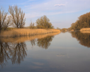 Fototapeta na wymiar View of the river bank with blue sky 