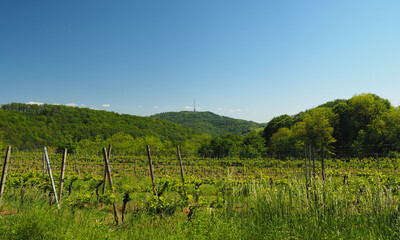 Obraz premium Blick auf Totenkopf 