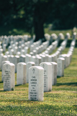 military cemetery in region