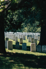 Naklejka premium cemetery arlington