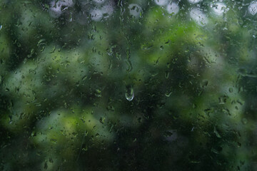 Rain drops on the window