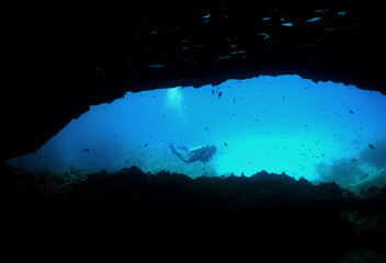 UNDERWATER SCUBA DIVER , CARIBBEAN SEA © gustavo