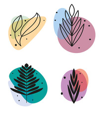 Set of abstract plants.Silhouette.Collection hand drawn, botanical and healing isolated plants.Herbs design template.Twigs and leaves with abstract colorful forms