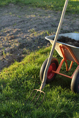 village pitchforks and a garden wheelbarrow on a garden plot. natural fertilizers from compost