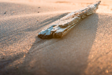 A wooden stick on the sand in the sunset