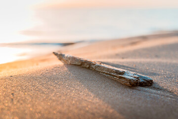 A wooden stick on the sand in the sunset