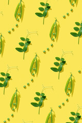 Fresh sweet green peas and opened pod pea, healthy vegetable food on bright yellow background