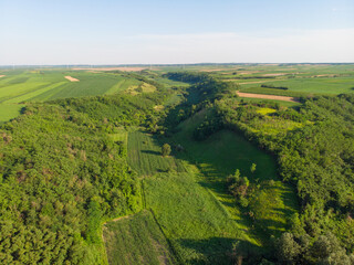 Forests and fertile fields. Aerial photography. 