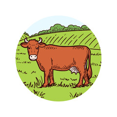 Farm animal. Cow sketch. Hand drawn. Vintage style. Vector illustration