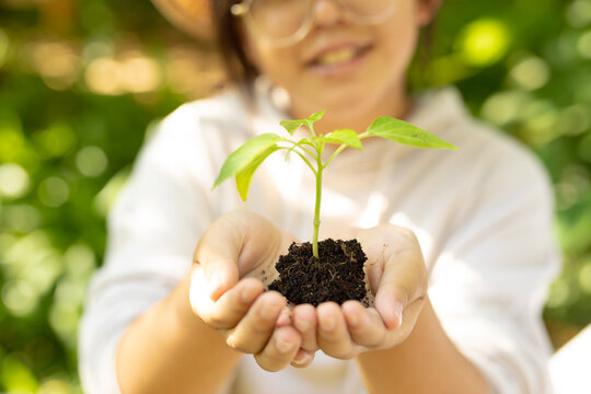 Smiling asian girl wearing glasses and holding plant in garden