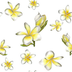 Vintage seamless pattern with white plumeria.  Vintage seamless pattern.