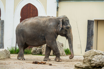 Zoobesuch