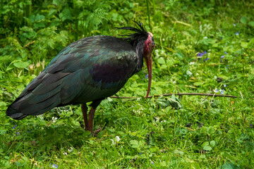 Zoobesuch