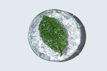 Transparent cosmetic gel in glass petri dish, green leaf on white background. Make-up and cosmetics...