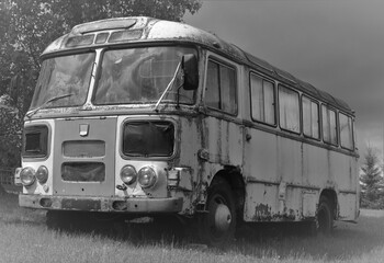 old bus on the grass