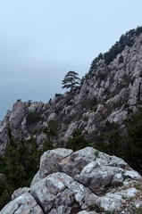 CRIMEA: Scenic landscape view of the foggy mountains
