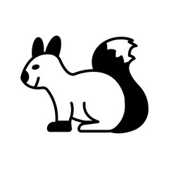 Squirrel 