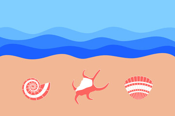Set of seashells on the sandy shore. Summertime travel concept