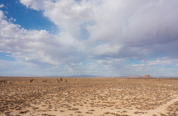 Fototapeta na wymiar Drought in the Mojave desert