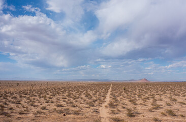 Parched desert view during drought