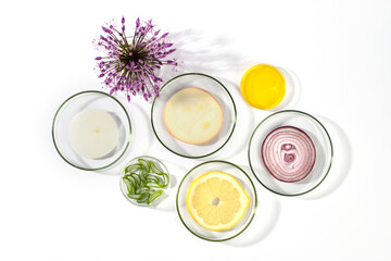 Laboratory Petri dishes with onions, oil, lemon, Aloe vera and onion flower head isolated on white...