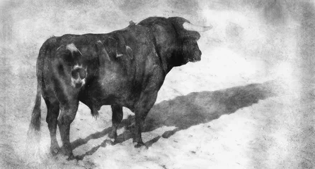 Foto op Plexiglas Fighting bull picture from Spain. Black bull hand drawing effect with pencils © Fernando Cortés