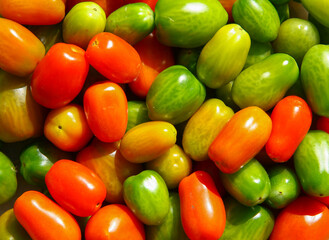 Cherry tomatoes: red yellow green. Top view