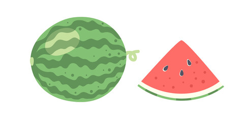 Fresh watermelon whole and slices. Summer tropical fruits symbol. Vector illustration in flat cartoon style isolated on white background