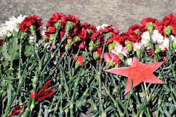 red star and flowers on the monument dedicated to the victims
