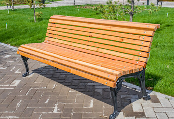 Wooden bench close-up in city park in spring