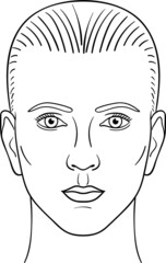 Male face vector illustration