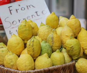 Fresh knobby Sorrento Lemons for sale in the market in Amalfi, Italy. 