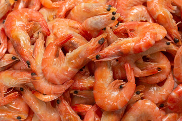 Shrimps background texture. A lot of shrimps. Cooked shrimps.