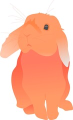 The rabbit is cute. Big-eared animal, rabbit. Big-eared rabbit. Gray hare, orange, purple.