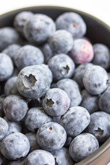 blueberries fresh juicy in bowl close up