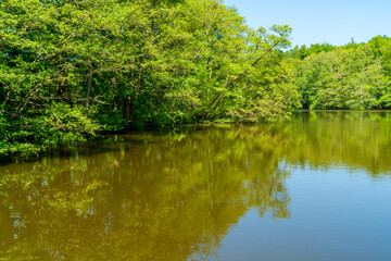 Virginia Water lake