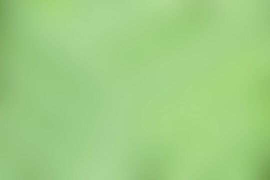 Blurred light green background image for websites and backgrounds