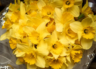 Bouquet of yellow daffodils. Yellow flowers. Close-up
