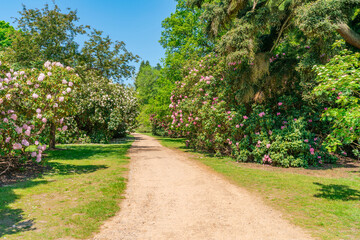 Virginia Water Park