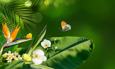 Butterflies flying around tropical flowers and plants on a blurry background