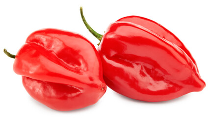Habanero chili red hot pepper isolated on white background. clipping path